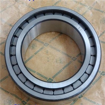 SL183010 Polni valjčni ležaj